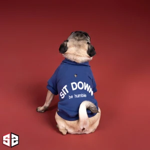 Salya Store Be Humble College Ceket Köpek Kıyafeti Köpek Ceketi KK-126-