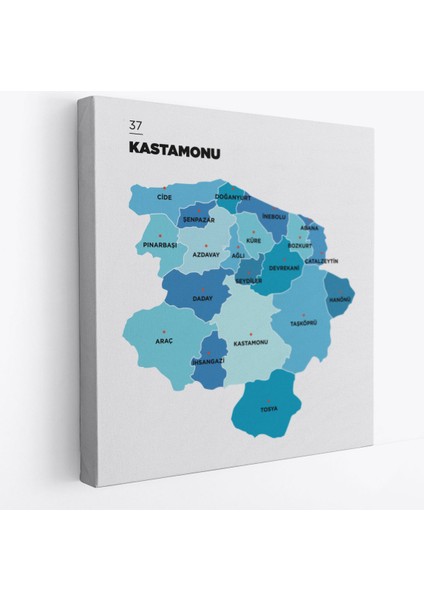 Kastamonu Ili ve Ilçeler Haritası Dekoratif Kanvas Tablo 1384