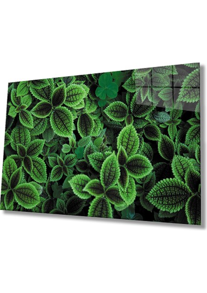 Yeşil Yapraklar Green Leaves Glas