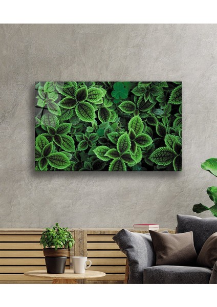 Yeşil Yapraklar Green Leaves Glas