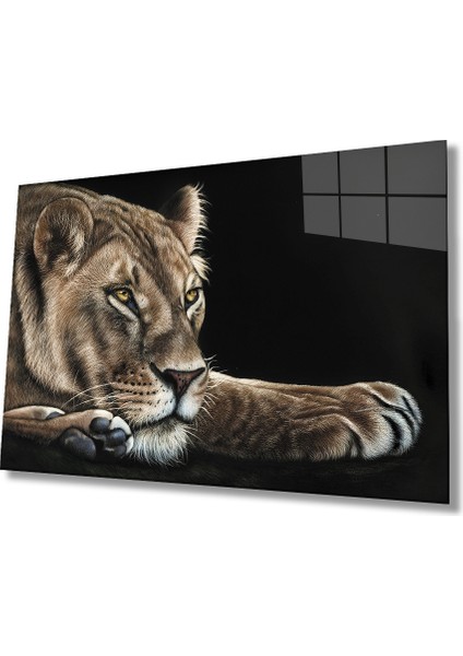 Aslan Cam Tablo