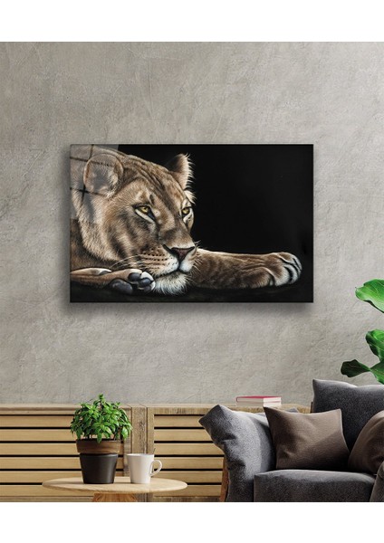 Aslan Cam Tablo
