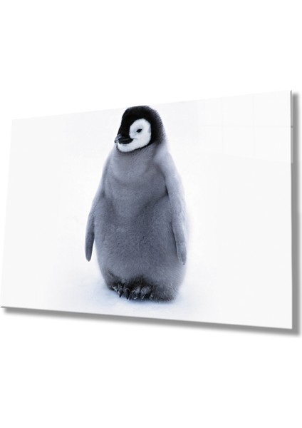 Penguen Cam Tablo Penguin Table