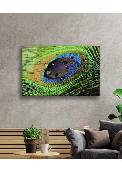 Tavuskuşu Tüy Cam Tablo Peacock