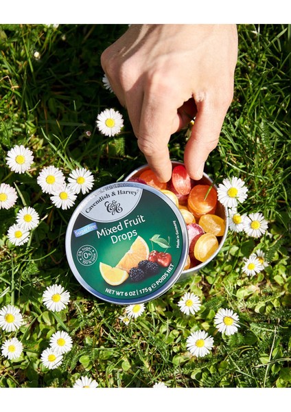 5’li Şekersiz Karışık Meyve Aromalı Şekerler 175 gr modelleri