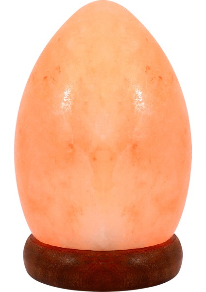 Gece Lambası, LED Hareket Sensörlü Dolap Asılabilir Lamba, Giriş Duvar Lambası, Koridor, Yatak Odası, Çocuk Odası, Mutfak, Merdiven, Bodrum, Banyo, Garaj, Dolap (2 Paket) (Yurt Dışından)