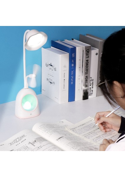 Güneş Paslanmaz Çelik Indüksiyon 13 LED Duvar Işık Duvar Lambası Açık Avlu (Yurt Dışından)