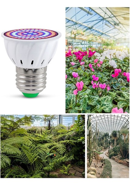 E27 80 Bitki Büyümek Lamba LED Tam Spektrum Büyüme Ampuller Fide Çiçek Kapalı Topraksız Bitkiler Için Fito Lamba (Yurt Dışından)