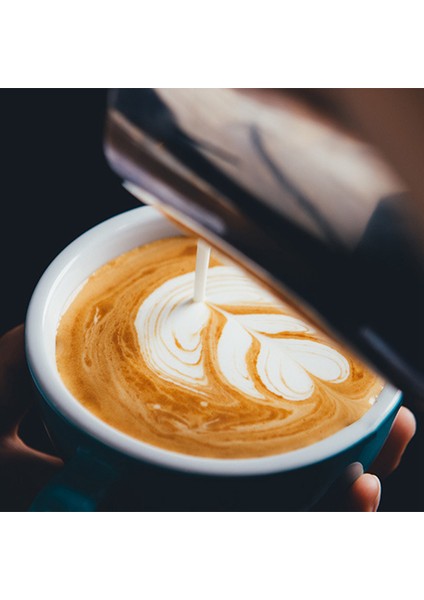 3 Adet/takım Kahve Eşyaları 51MM Ahşap Saplı Kahve Tozu Sabotaj Silikon Kahve Taşlama Pedi 350 ml Çekme Çiçek Silindir (Yurt Dışından) indirimleri