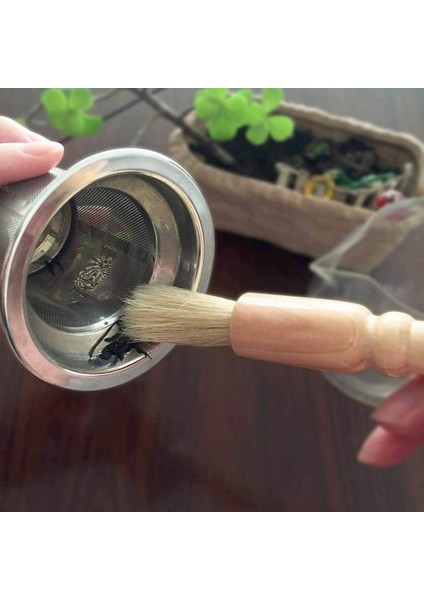 Kahve Öğütücü Temizleme Fırçası, Ahşap Toz Alma Espresso Fırçası ve Naylon Espresso Makinesi Fırçası Fasulye Tahıl, Vb Için Kaşıkla (Yurt Dışından) modelleri