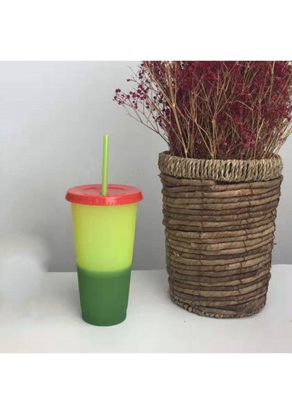 710ML Büyülü Renk Değişimi Bardak Renkli Soğuk Su Rengi Değişen Kahve Fincanı Kupa Su Pipetli Şişeler 5 Adet (Yurt Dışından) fırsatları