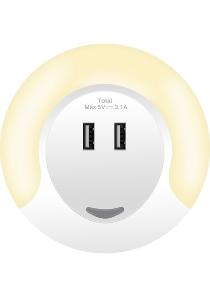 1 Adet LED Su Geçirmez Titrek Alev Güneş Bahçe Lambası Açık Peyzaj Dekorasyon Bahçe Çim Işığı Yuvarlak (Yurt Dışından)