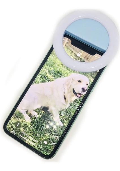 30 Mod Kısılabilir E27 Rgb LED Akıllı Ampul, 15W Bluetooth Lamba Akıllı Lamba, Ios / Android Için Başvurun (Yurt Dışından) modelleri