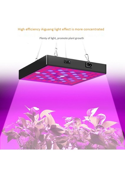 80 W Bitki Büyümek Lamba LED Tam Spektrum Büyüme Ampuller Fide Çiçek Kapalı Topraksız Bitki Için Phyto Lamba (Abd Plug) (Yurt Dışından)