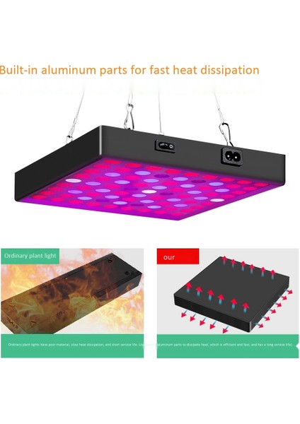 80 W Bitki Büyümek Lamba LED Tam Spektrum Büyüme Ampuller Fide Çiçek Kapalı Topraksız Bitki Için Phyto Lamba (Abd Plug) (Yurt Dışından)