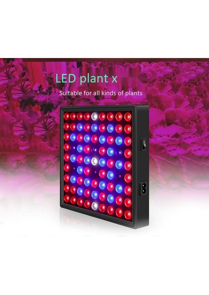 80 W Bitki Büyümek Lamba LED Tam Spektrum Büyüme Ampuller Fide Çiçek Kapalı Topraksız Bitki Için Phyto Lamba (Abd Plug) (Yurt Dışından)