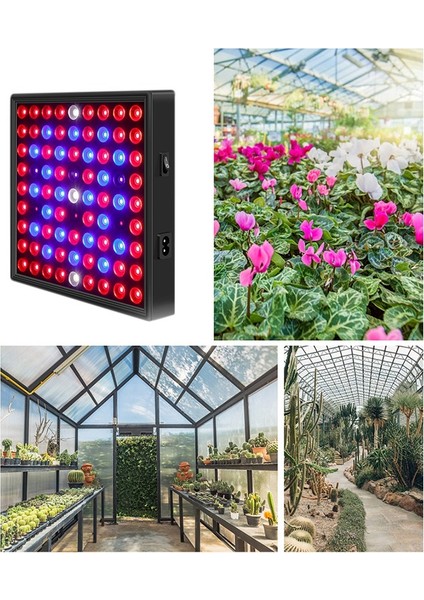80 W Bitki Büyümek Lamba LED Tam Spektrum Büyüme Ampuller Fide Çiçek Kapalı Topraksız Bitki Için Phyto Lamba (Abd Plug) (Yurt Dışından)