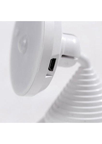 2 Paket 75W Sürüngen Işık Uva Isı Lambası Ampul Sakallı Ejderha Aksesuarları 220V Için (Yurt Dışından) fırsatları