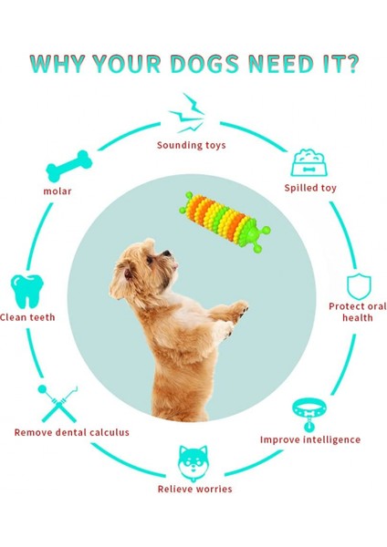 Agresif Çiğneme Makineleri Için Köpek Oyuncakları, Doğal Kauçuk Yıkılmaz Diş Temizleme Köpeği Küçük Orta Büyük Köpekler Için Çiğneme Oyuncakları, Açık Hava Eğlencesi Interaktif Köp (Yurt Dışından) fiyatları
