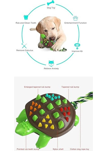 Köpek Çiğneme Oyuncağı, Orta Büyük Köpek Için Renkli Kaplumbağa Köpek Çok Fonksiyonlu Yanak Çubuğu, Köpek Diş Fırçası Halatlı Doğal Kauçuk Dayanıklı Oyuncak (Açık Mavi Versiyon (Sa (Yurt Dışından)