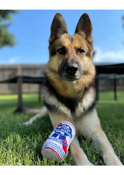 Pup Light ve Pups Blue Ribbon - Komik Köpek Oyuncakları - Orta, Küçük ve Büyük Için Peluş Cırlak Köpek Oyuncakları - Köpeğin Doğum Günü Için Sevimli Köpek Hediyeleri - Havalı Doldu (Yurt Dışından) fiyatları
