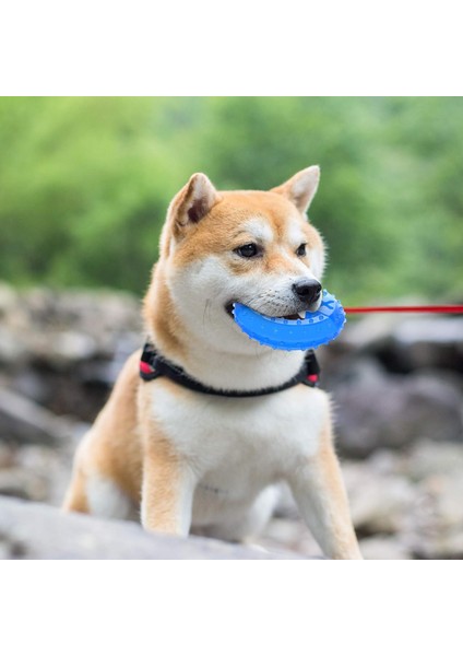 Köpekler Için Pet Diş Kaşıyıcı Soğutma Çiğneme Oyuncak Yavru Köpekler Için Diş Çıkarma Oyuncak, Daha Fazla Eğlence Için Ikramlarla Uyumlu (Çiğneme Halkası) (Yurt Dışından) fırsatları