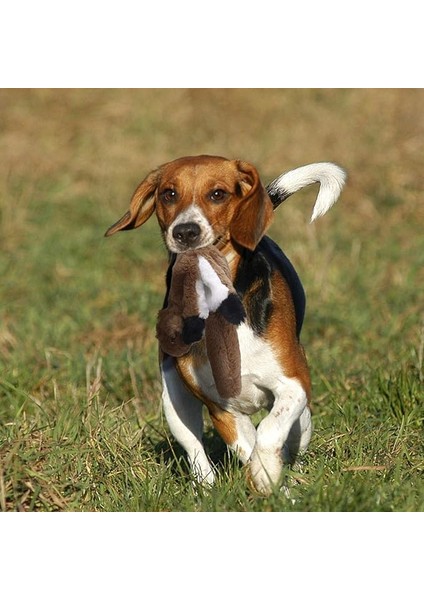 Stuffingless Köpek Oyuncak, Gıcırtılı Peluş Köpek Oyuncak, Küçük Orta Köpekler Için Stuffingless Köpek Çiğneme Oyuncağı - ,46CM (Yurt Dışından)