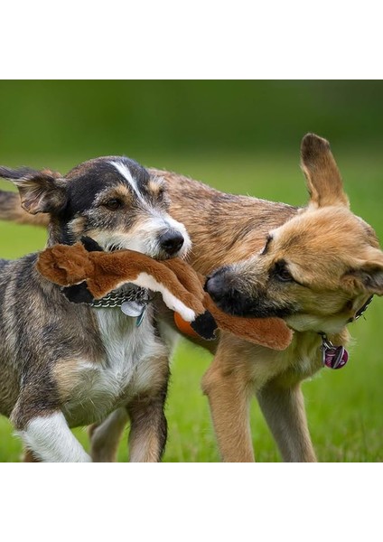 Stuffingless Köpek Oyuncak, Gıcırtılı Peluş Köpek Oyuncak, Küçük Orta Köpekler Için Stuffingless Köpek Çiğneme Oyuncağı - ,46CM (Yurt Dışından)
