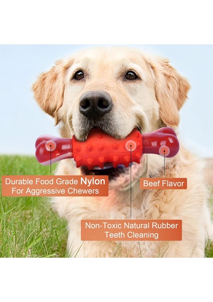 Köpek Çiğneme Oyuncakları Büyük Köpekler Agresif Çiğneme Makineleri ve Diş Çıkarma Oyuncakları Doğal Kauçuklu Naylondiş Bakımı Çiğneme Kemiği Canlı Sığır Eti Kokulu Yavru Köpekler (Yurt Dışından) modelleri
