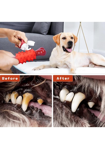 Köpek Çiğneme Oyuncakları Büyük Köpekler Agresif Çiğneme Makineleri ve Diş Çıkarma Oyuncakları Doğal Kauçuklu Naylondiş Bakımı Çiğneme Kemiği Canlı Sığır Eti Kokulu Yavru Köpekler (Yurt Dışından) fırsatları