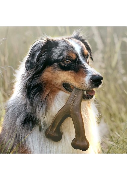 Agresif Çiğneyiciler Için Dayanıklı Lades Kemikli Köpek Çiğneme Oyuncağı, Gerçek Pastırma, (Yurt Dışından)