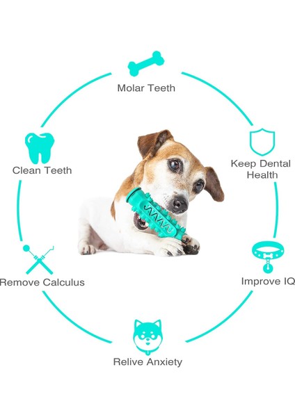 Köpek Çiğneme Makinesi Oyuncakları, Agresif Çiğneme Makineleri Için Uygun Köpek Oyuncakları, Diş Temizleme Köpek Oyuncakları, Küçük ve Orta Boy Köpekler Interaktif Köpek Oyuncaklar (Yurt Dışından) modelleri