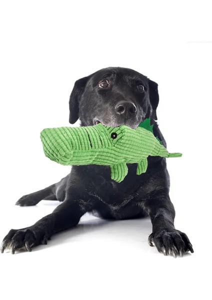 Yavru Squeak Peluş Köpek Oyuncak Dayanıklı Interaktif Doldurulmuş Hayvan Köpek Oyuncak Diş Temizleme Çiğneme Oyuncağı Yavru Köpekler Için Küçük Orta Büyük Köpek Agresif Çiğneme Oyu (Yurt Dışından) modelleri