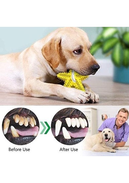 Köpek Diş Fırçası Oyuncak Yavru Köpekler Için Dayanıklı Çiğneme Çubukları Diş Çıkarma-Kauçuk Yüzen Oyuncak Interaktif Köpek Yavrusu Oyuncak Eğitimi Için Küçük Orta Köpekler (Yeşil) (Yurt Dışından)