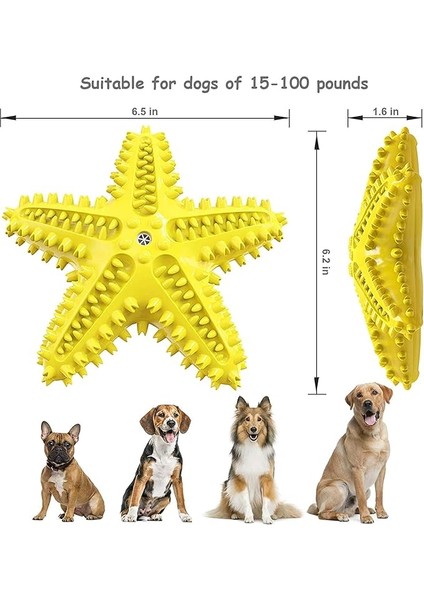 Köpek Diş Fırçası Oyuncak Yavru Köpekler Için Dayanıklı Çiğneme Çubukları Diş Çıkarma-Kauçuk Yüzen Oyuncak Interaktif Köpek Yavrusu Oyuncak Eğitimi Için Küçük Orta Köpekler (Yeşil) (Yurt Dışından)