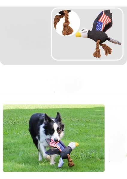 Peluş Köpek Oyuncakları, Dayanıklı Kanvas Peluş Köpek Çiğneme Oyuncakları, Orta ve Küçük Yavru Köpekler Için Yıkanabilir Gerçekçi Kuş Şekilli Evcil Hayvan Oyuncakları, Dış Mekan ve (Yurt Dışından) fiyatları