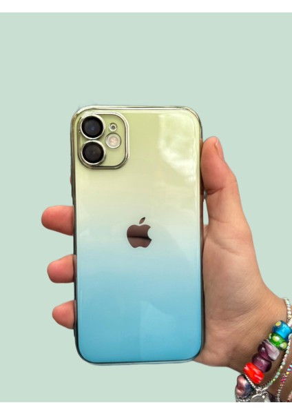 Iphone 11 Kılıf Kamera Korumalı Renk Geçişli Şeffaf Sert Rainbow Silikon Kapak