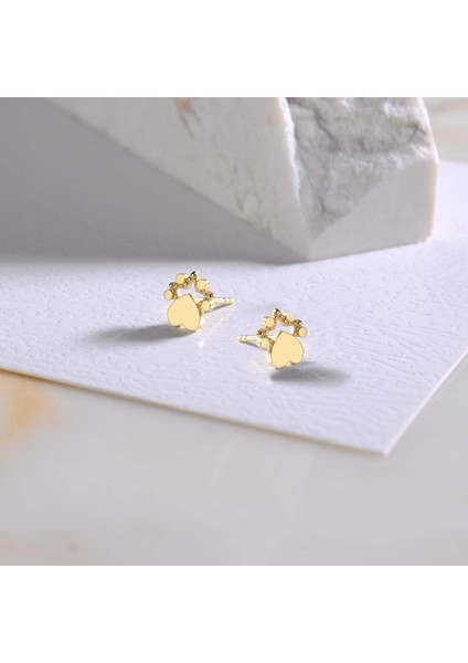 14 Ayar Altın Kalp ve Yıldız Küpe