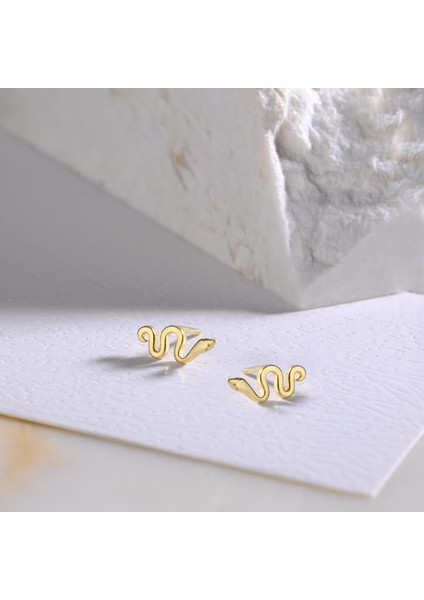 14 Ayar Altın Yılan Küpe fiyatları