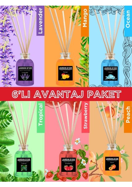 8'li Dev Indirim Çubuklu Oda Kokusu (Ocean-Lavender-Mango-Tropıcal-Peach-Strawberry- Blackberry-Flower Garden