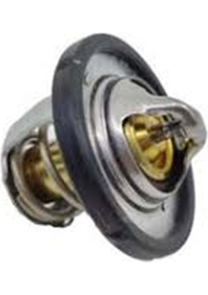 Ford Focus Termostat Kale