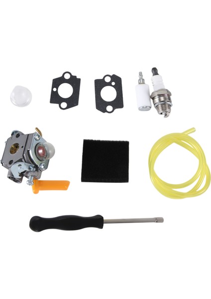 C1U-H60 Karbüratör Grubu C1U-H60 308054003 3074504 985624001 26CC 30CC Karbüratör (Yurt Dışından)
