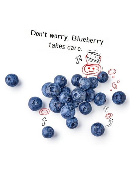 Blueberry Şeker Ilavesiz Vegan Glütensiz Kuruyemiş Bar 15 Adet fırsatları