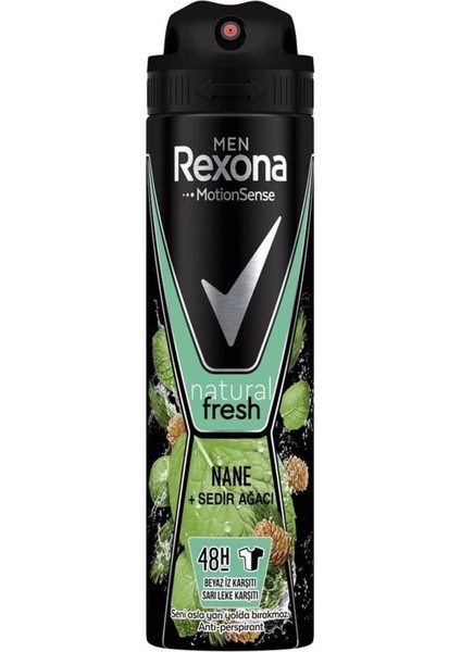 Deodorant Nane ve Sedir Ağacı Men 150 ml