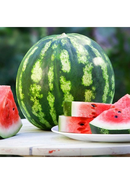 Kaliforniya Kan Karpuzu Tohumu Geleneksel Watermelon Crimson Sweet