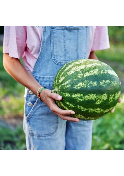 Kaliforniya Kan Karpuzu Tohumu Geleneksel Watermelon Crimson Sweet