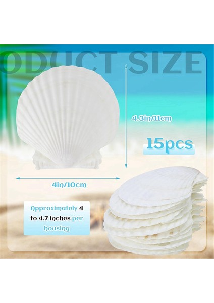 15 Pcs Doğal Deniz Kabuğu Beyaz, Dıy El Sanatları, Yemek Servisi, Pişirme ve Daha Fazlası Için 4-4,7 Inç Tarak Kabukları (Yurt Dışından)