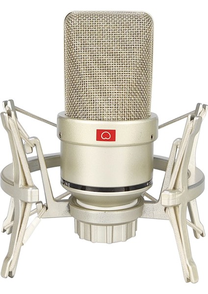 Kondenser Mikrofon Stüdyo Pc Dizüstü Bilgisayar Için Mikrofon Karaoke Şarkı Akışı Kablolu Mikrofon Mike Ses Mikrofon (Yurt Dışından)