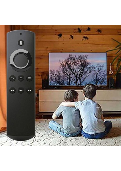 PE59CV Box Ses Kutusu Medya Uzaktan Kumandası Için Uzaktan Kumanda PE59CV DR49WK (Yurt Dışından) indirimleri