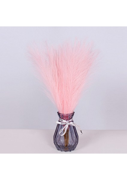 18 Adet Pampas Çim Pembe 17.7 Inç, Yapay Pampas Çim Sahte Pembe Pompas Çim Dekor, Çim Allık Boho Dekorasyon(A) (Yurt Dışından) fiyatları